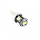 Ampoule T10 W5W 5 leds blanches 5630