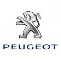Ampoules Led Peugeot